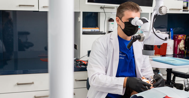 florida root canal specialists